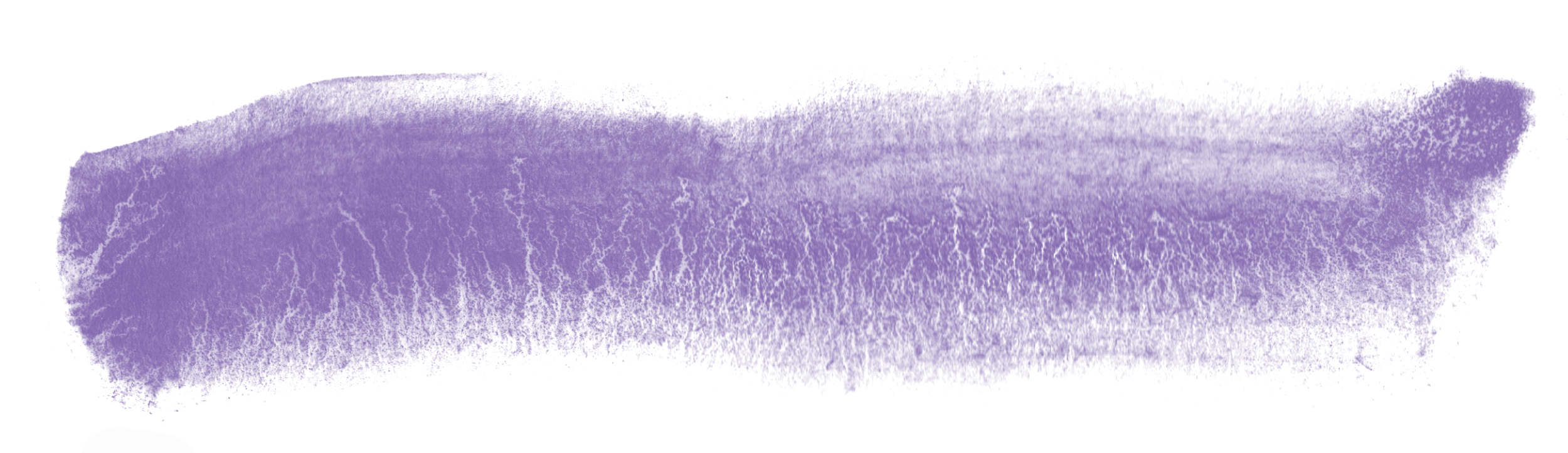 C 13